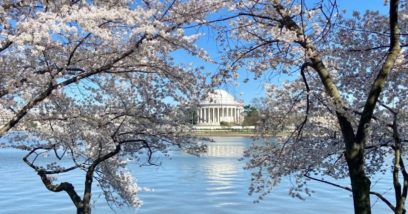 他乡APP回归！正式开启公测