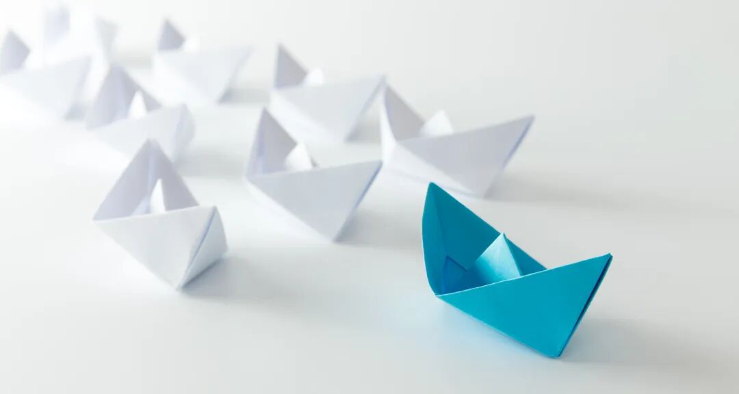 I-20、Visa 和护照的区别与作用。